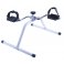 Heim­trainer